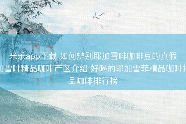 米乐app下载 如何辨别耶加雪啡咖啡豆的真假?耶加雪啡精品咖啡产区介绍 好喝的耶加雪菲精品咖啡排行榜