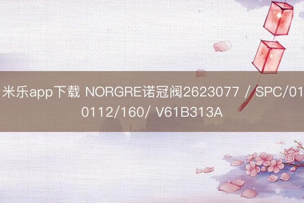 米乐app下载 NORGRE诺冠阀2623077 / SPC/010112/160/ V61B313A