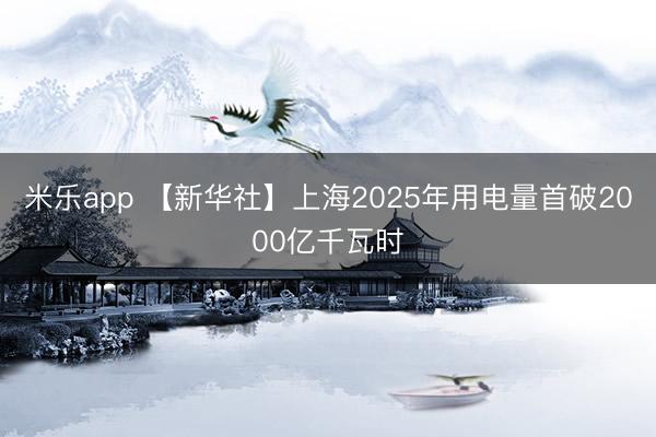 米乐app 【新华社】上海2025年用电量首破2000亿千瓦时