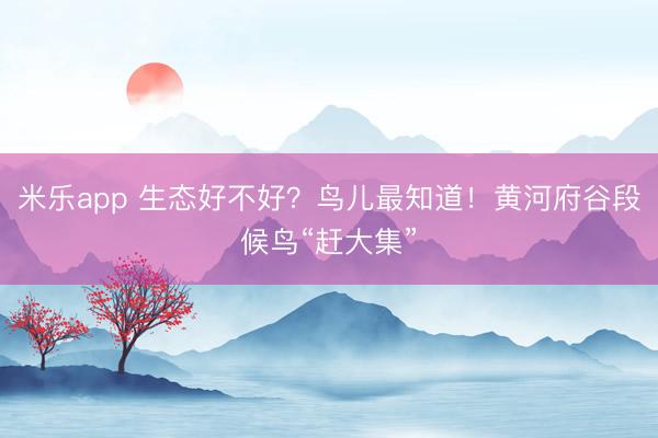 米乐app 生态好不好?鸟儿最知道!黄河府谷段候鸟“赶大集”