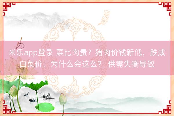 米乐app登录 菜比肉贵？猪肉价钱新低，跌成白菜价，为什么会这么？ 供需失衡导致