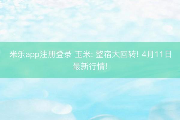 米乐app注册登录 玉米: 整宿大回转! 4月11日最新行情!