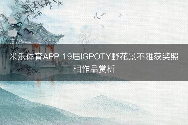 米乐体育APP 19届IGPOTY野花景不雅获奖照相作品赏析